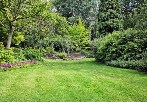 Optimiser l'expérience du jardin à Bouillancourt-en-Sery